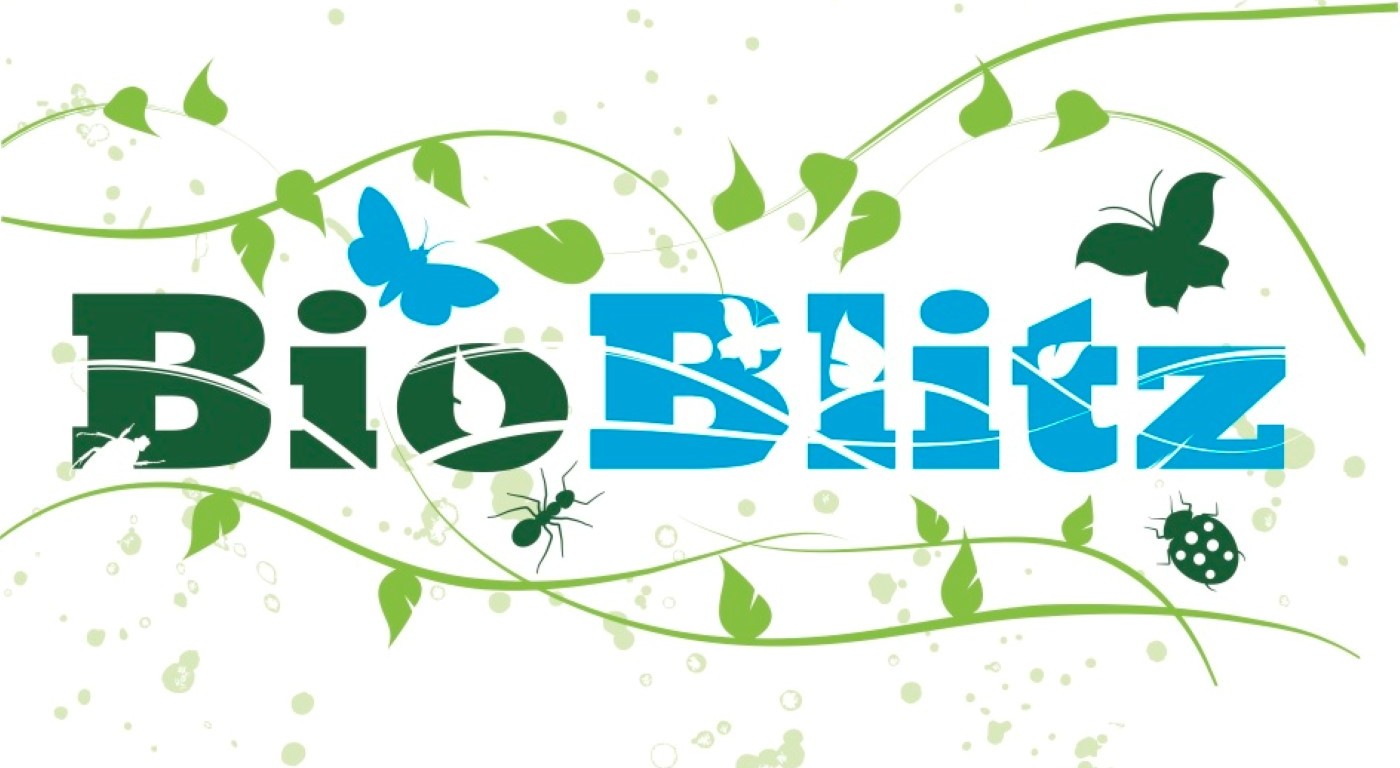 BioBlitz logo