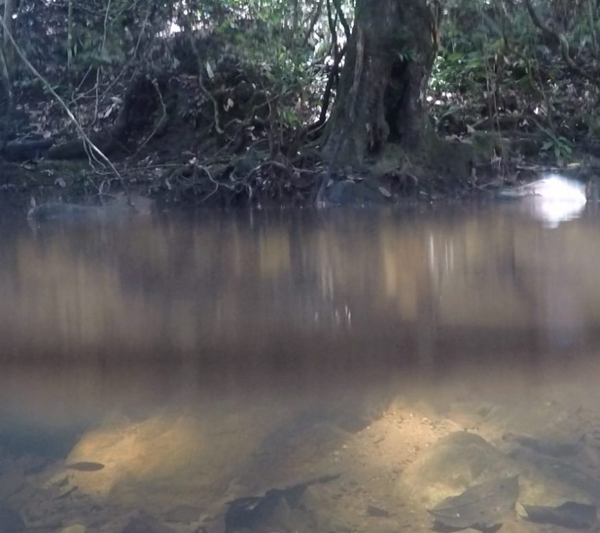 Photograph taken with lense half-way into river water