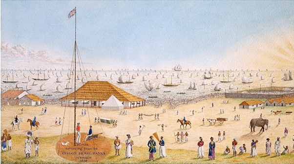 Boats returning from the Ceylon Pearl Banks in March 1829