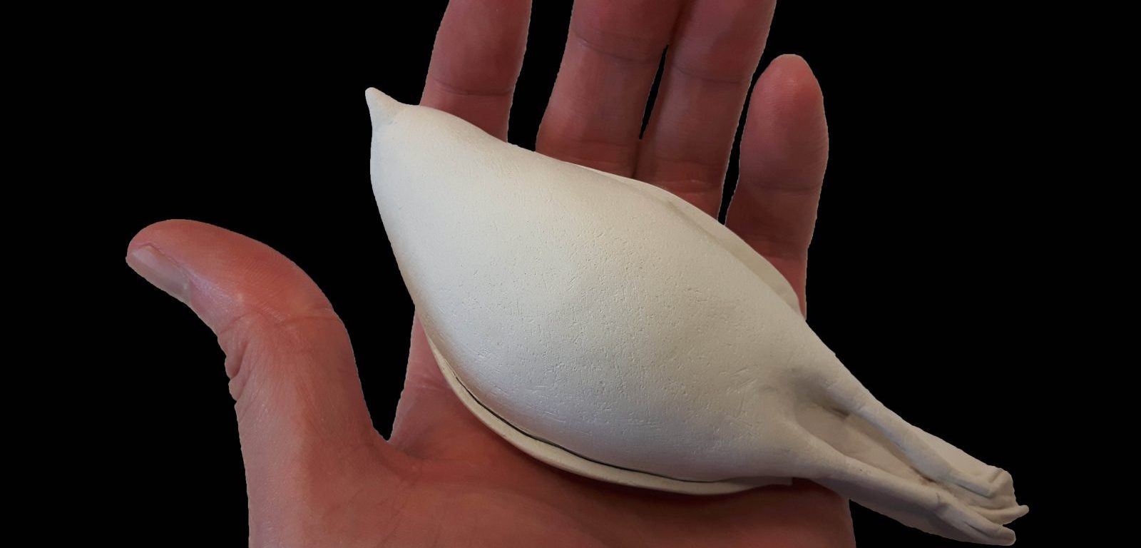 A hand holds a bird sculpture made of white clay. The hand belongs to a white male