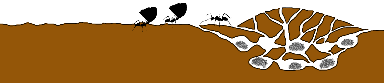 Illustration of ant hill with ants
