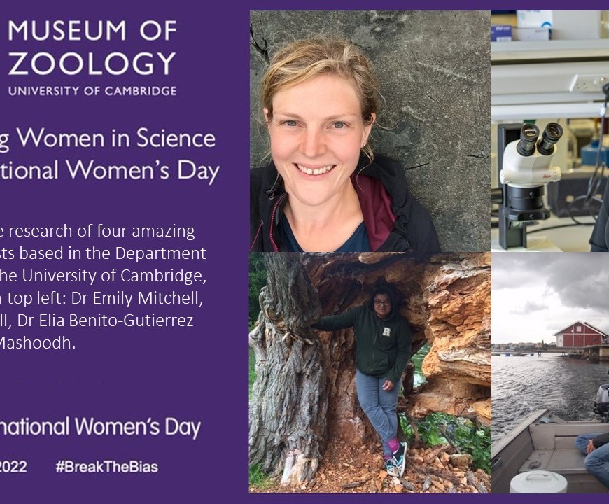 International Women's Day title screen with images of female scientists