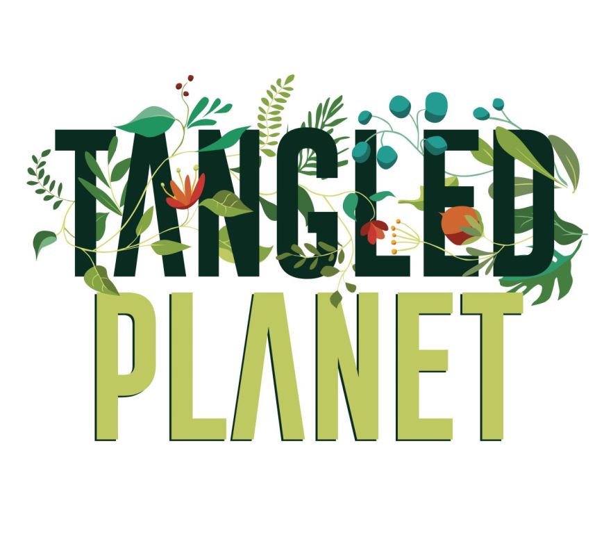 Logo saying Tangled Planet in green intertwined with vines and flowers