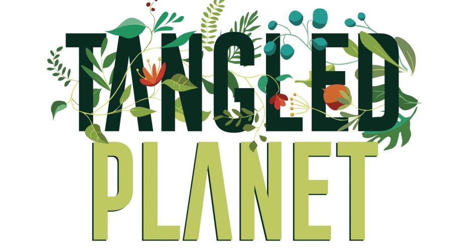 Logo saying Tangled Planet in green intertwined with vines and flowers